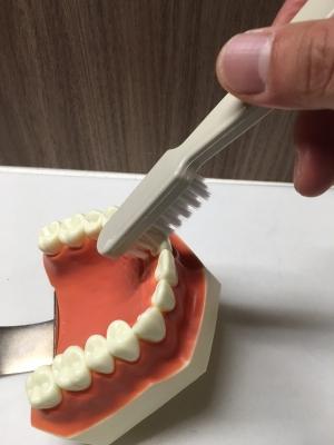 たて磨き